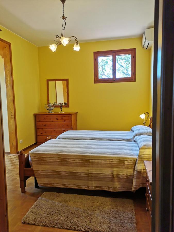 Bed and Breakfast L'Albero Del Cioccolato Pigna Exteriér fotografie