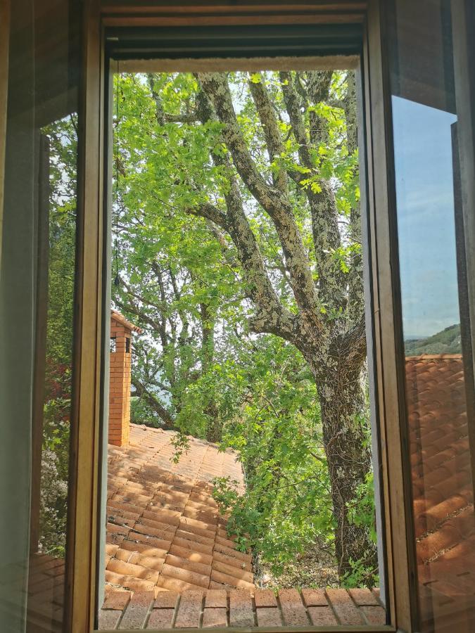 Bed and Breakfast L'Albero Del Cioccolato Pigna Exteriér fotografie