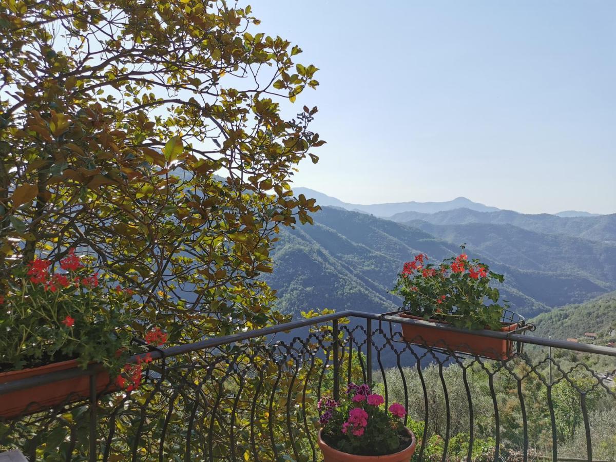 Bed and Breakfast L'Albero Del Cioccolato Pigna Exteriér fotografie