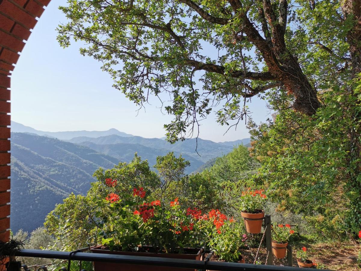 Bed and Breakfast L'Albero Del Cioccolato Pigna Exteriér fotografie