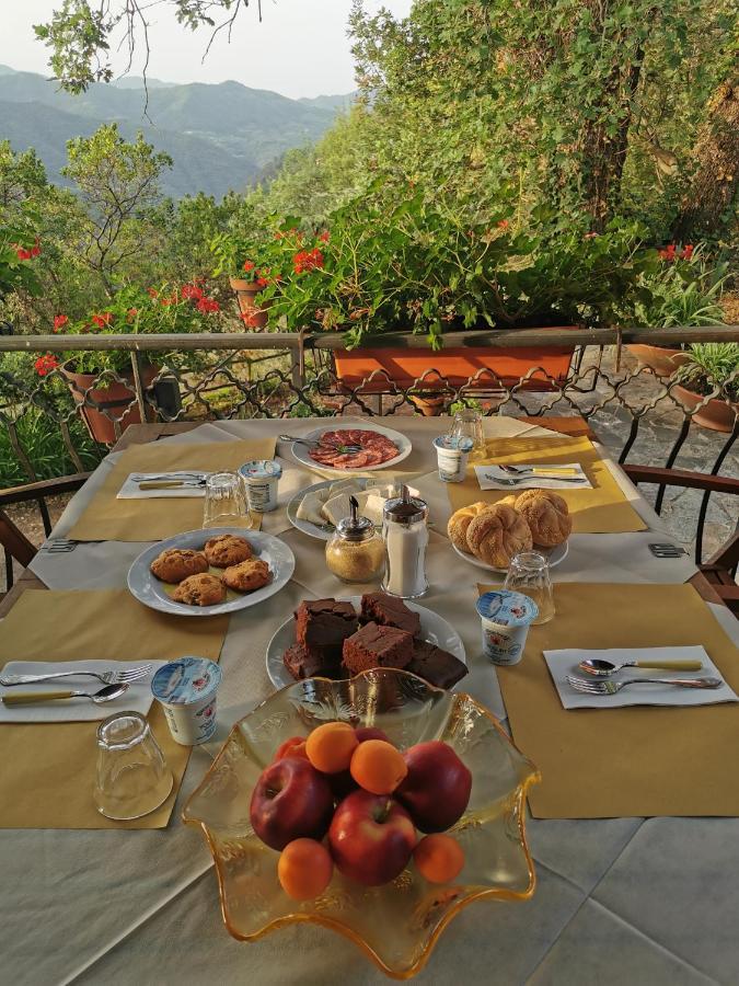 Bed and Breakfast L'Albero Del Cioccolato Pigna Exteriér fotografie